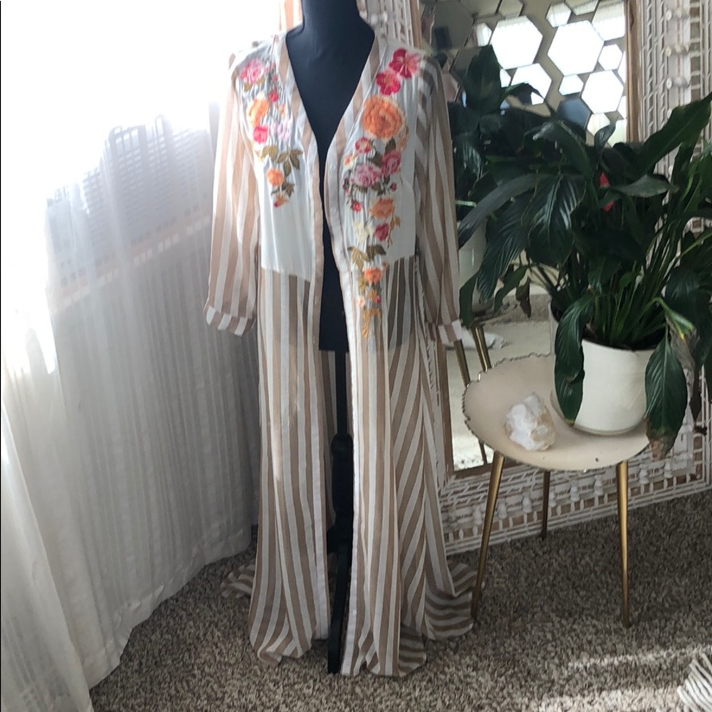 Sheer Dress country duster or long sleeved maxi